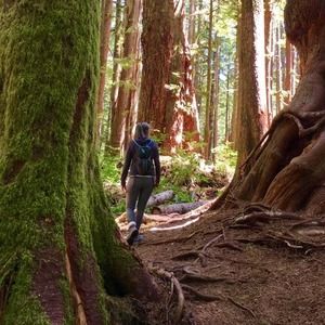 Meet your Posher, Janice